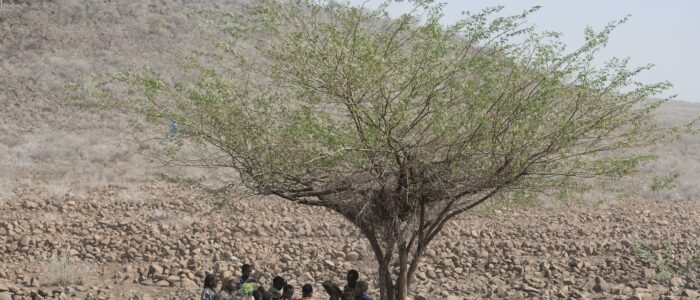 Frankfurter Allgemeine Sonntagszeitung: Dürre am Horn von Afrika Frankfurter Allgemeine Sonntagszeitung: Dürre am Horn von Afrika