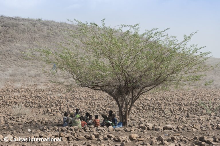 Frankfurter Allgemeine Sonntagszeitung: Drought in the Horn of Africa